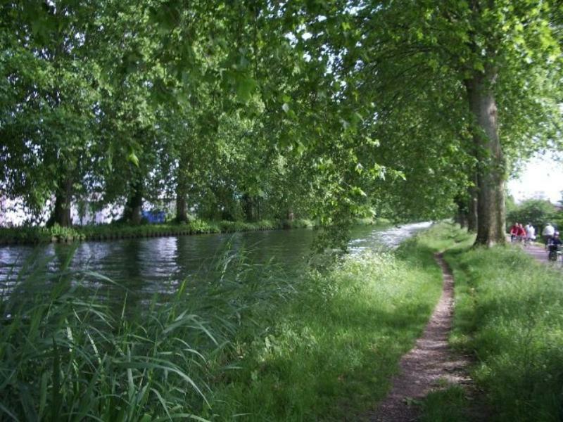 Chambre D'Hotes Au Canal Illkirch-Graffenstaden Eksteriør billede